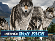 Untamed Wolf Pack в азартной онлайн игре на деньги